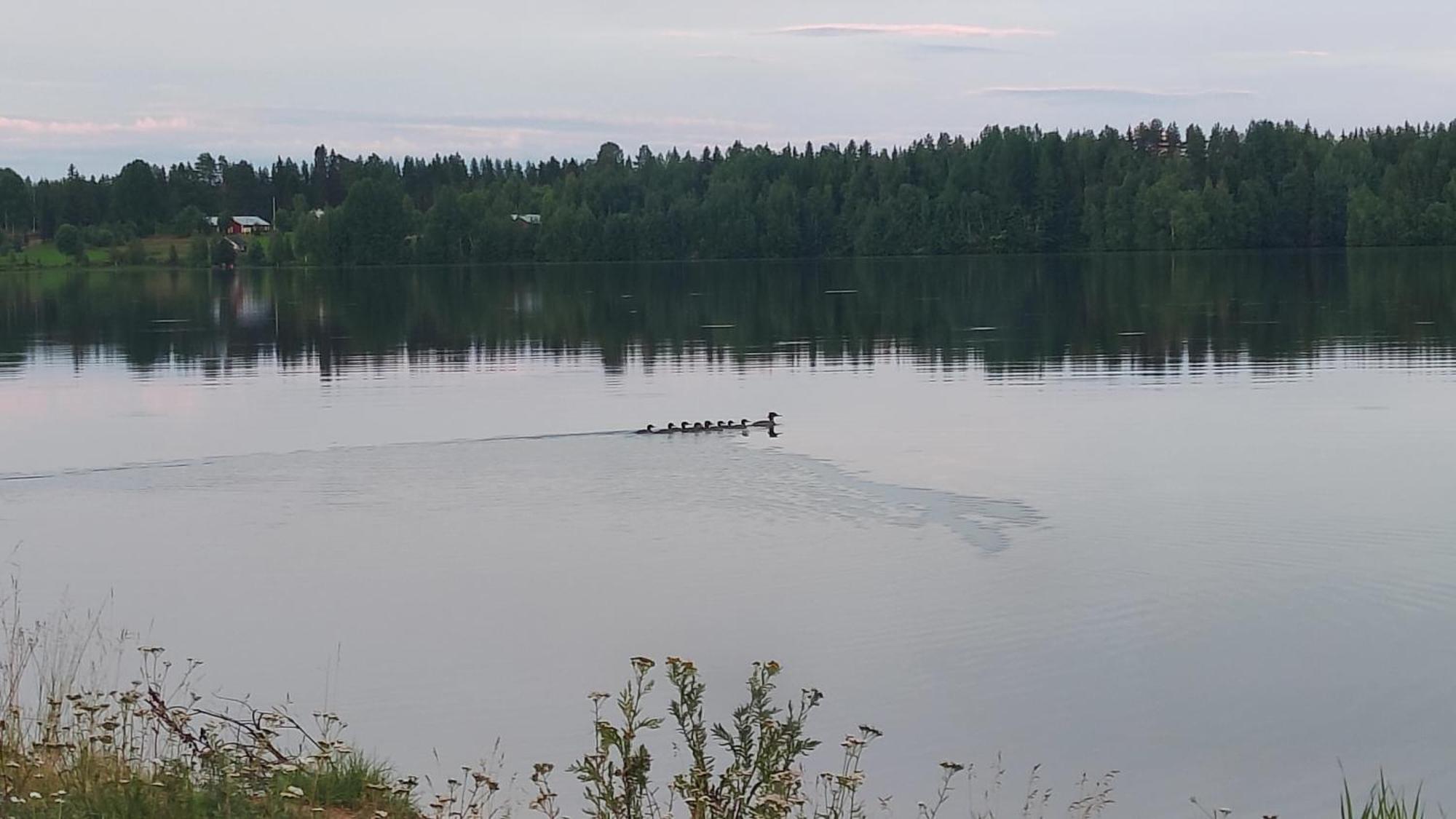 Villa Mukava Mummonmoekki Maaseudun Rauhassa Koivu Exterior foto